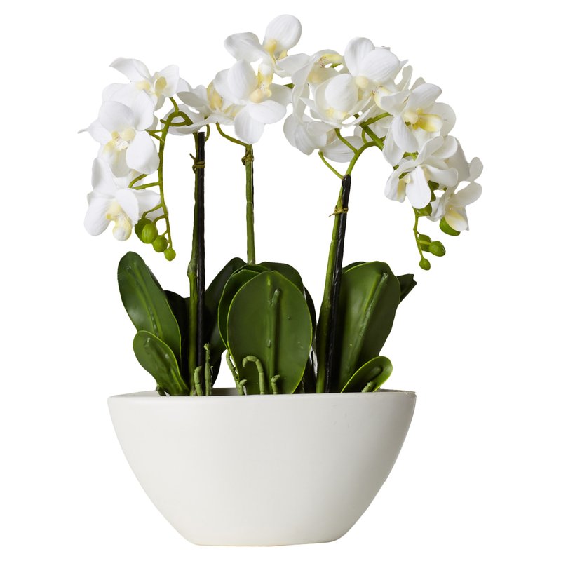 Phalaenopsis+Silk+Flowers+in+Pot.jpg